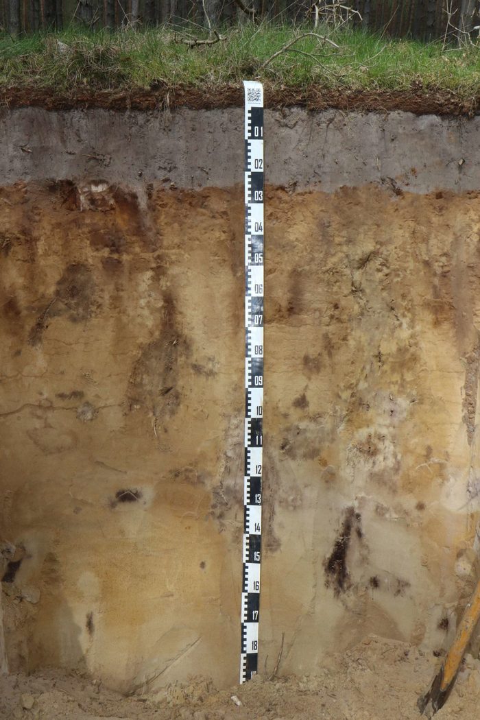 Bodenprofil einer Profilgrube mit Maßstab